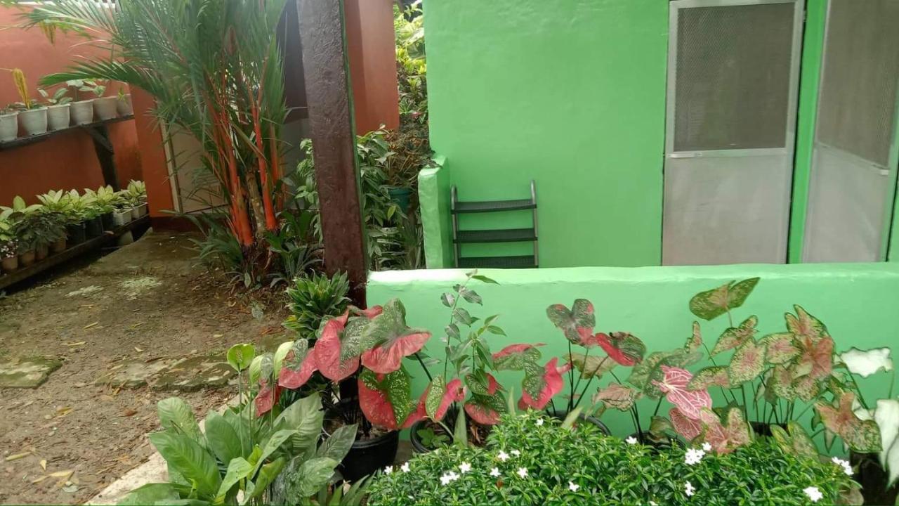 Charity Pension House San Vicente  Exteriér fotografie